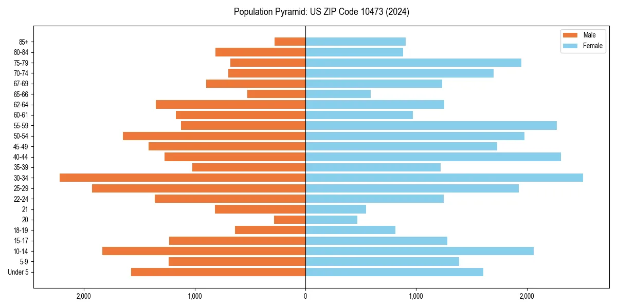 Population pyramid for 