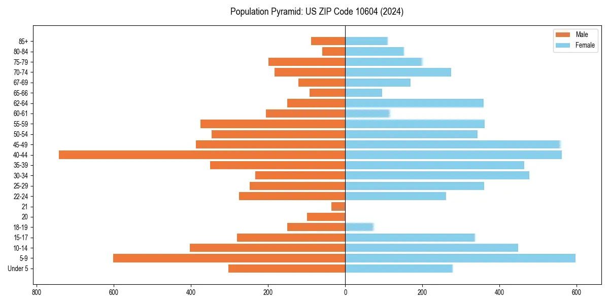 Population pyramid for 