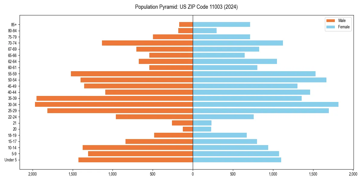 Population pyramid for 