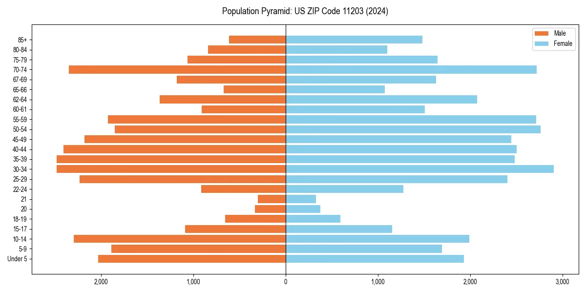 Population pyramid for 