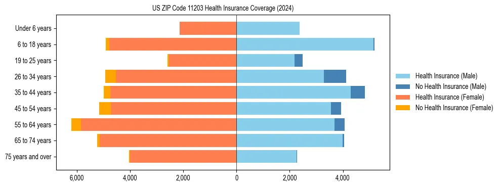 Health insurance pyramid for US ZIP Code 11203