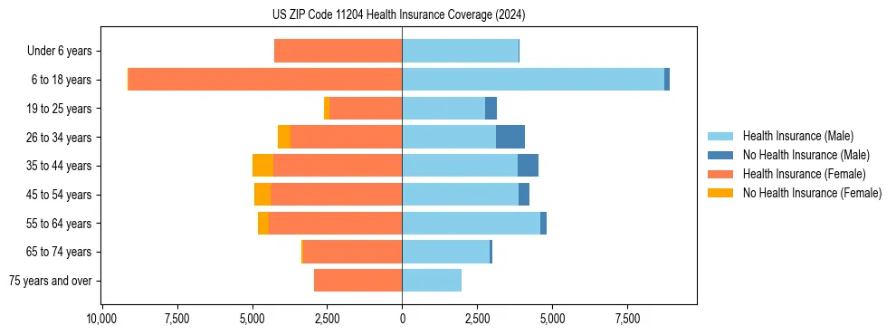 Health insurance pyramid for US ZIP Code 11204
