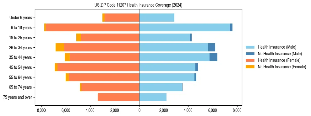 Health insurance pyramid for US ZIP Code 11207