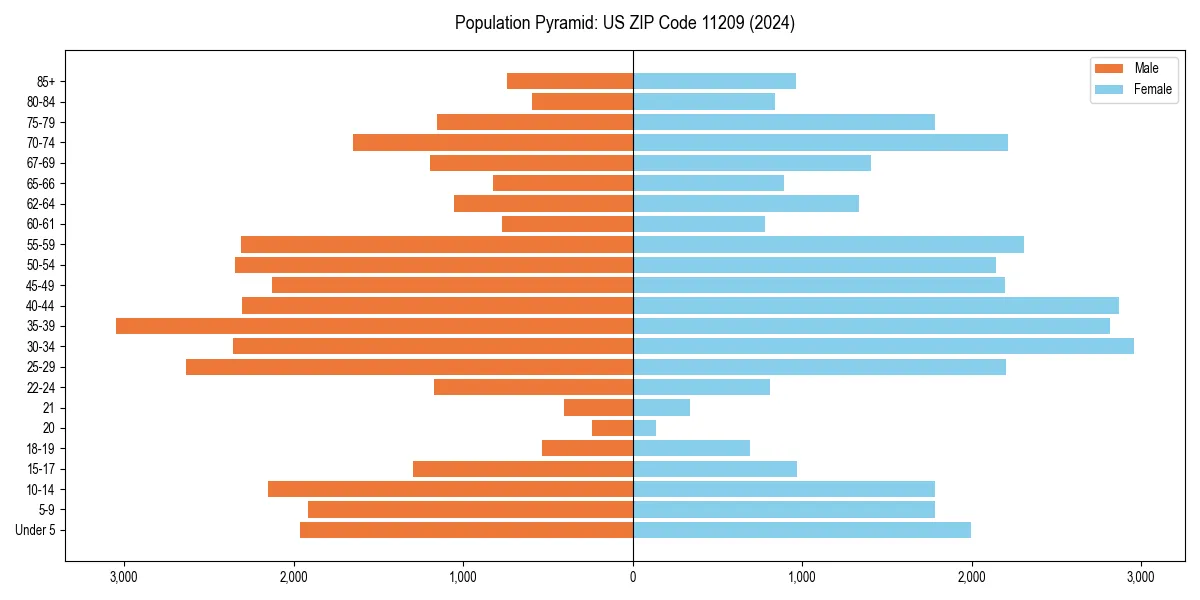 Population pyramid for 