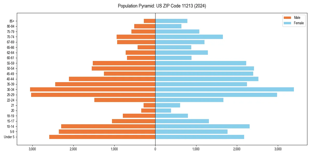 Population pyramid for 