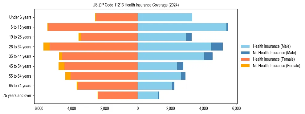 Health insurance pyramid for US ZIP Code 11213