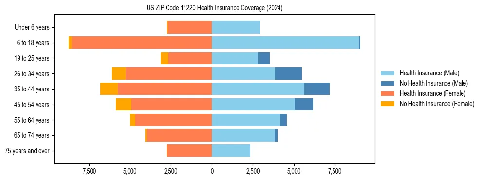 Health insurance pyramid for US ZIP Code 11220