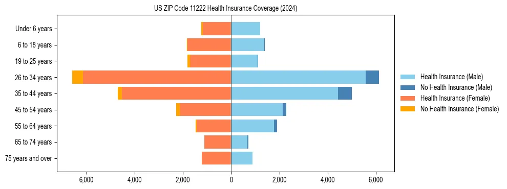 Health insurance pyramid for US ZIP Code 11222