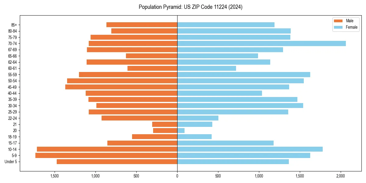 Population pyramid for 