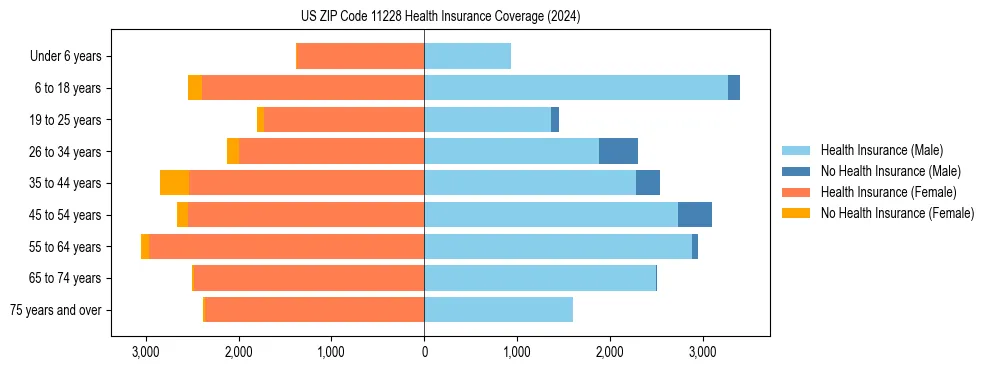 Health insurance pyramid for US ZIP Code 11228