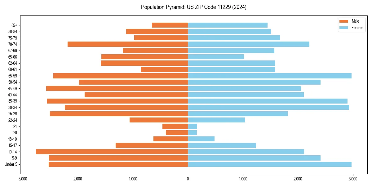 Population pyramid for 