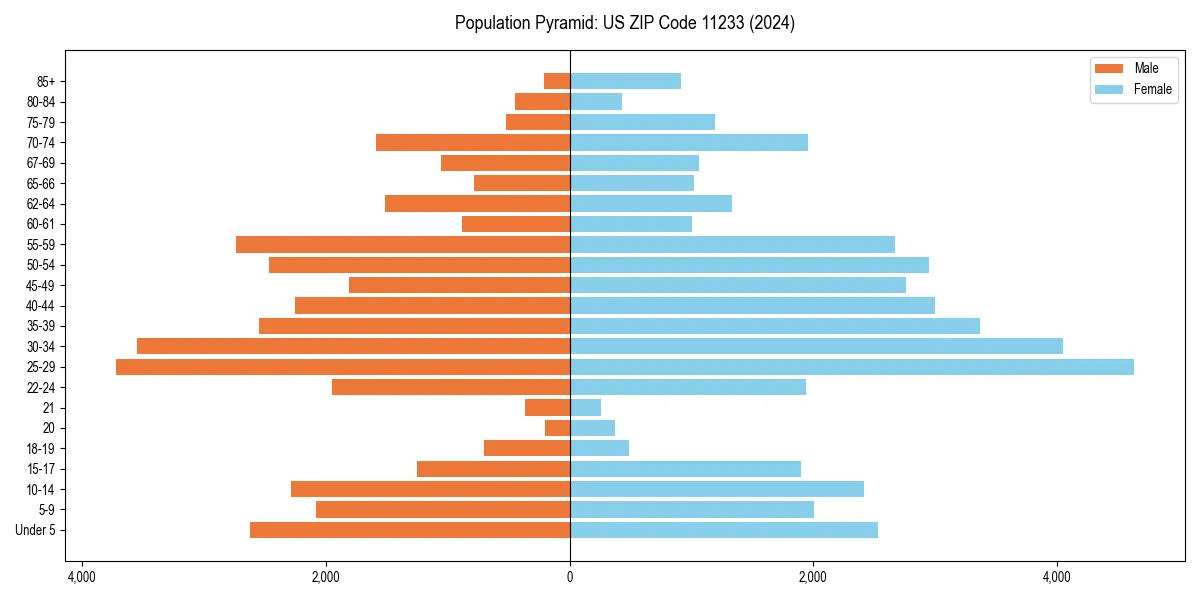 Population pyramid for 