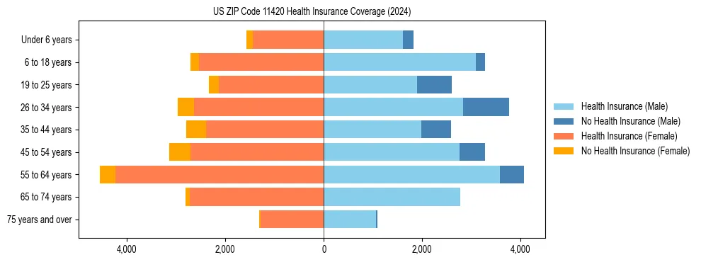 Health insurance pyramid for US ZIP Code 11420