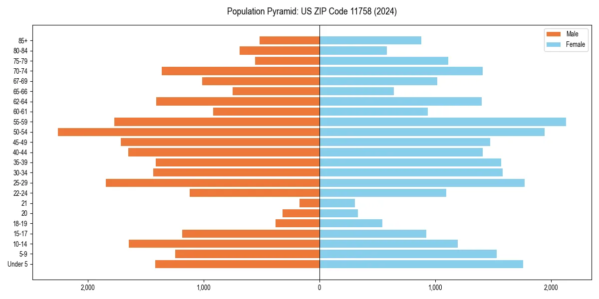 Population pyramid for 