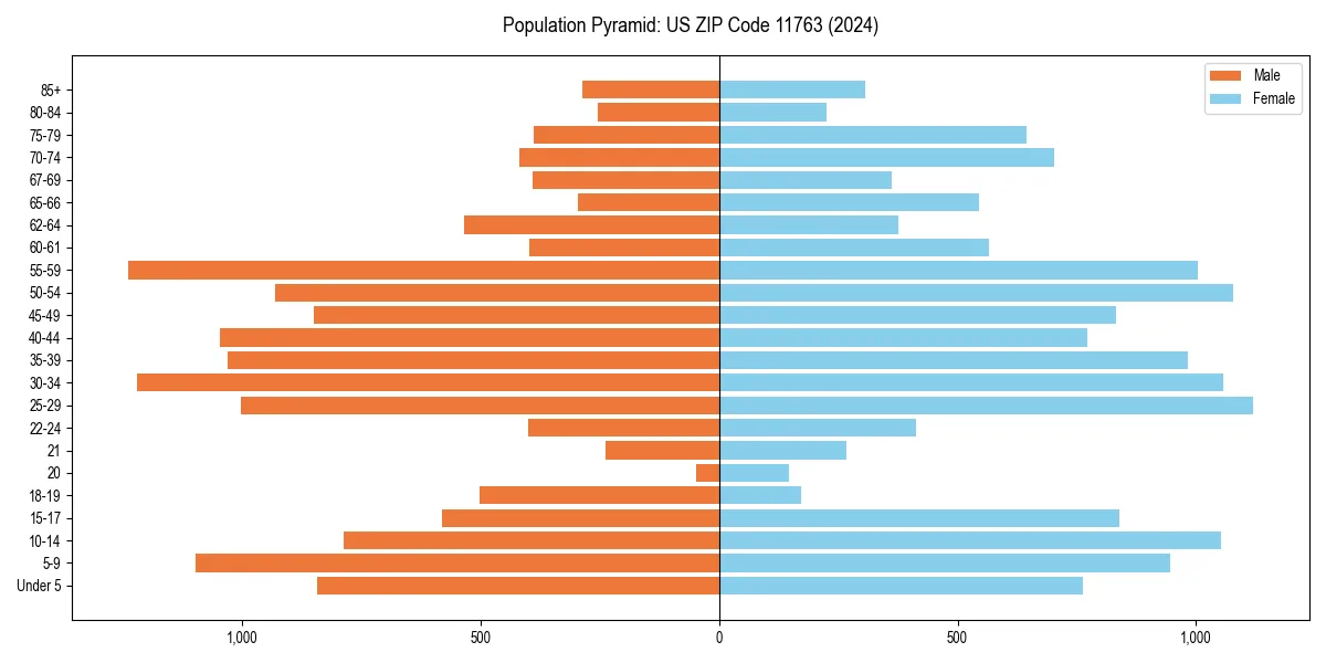 Population pyramid for 