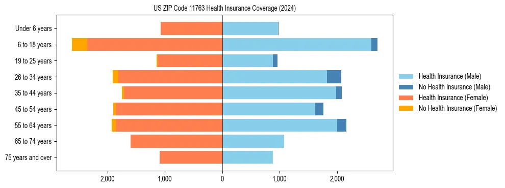 Health insurance pyramid for US ZIP Code 11763