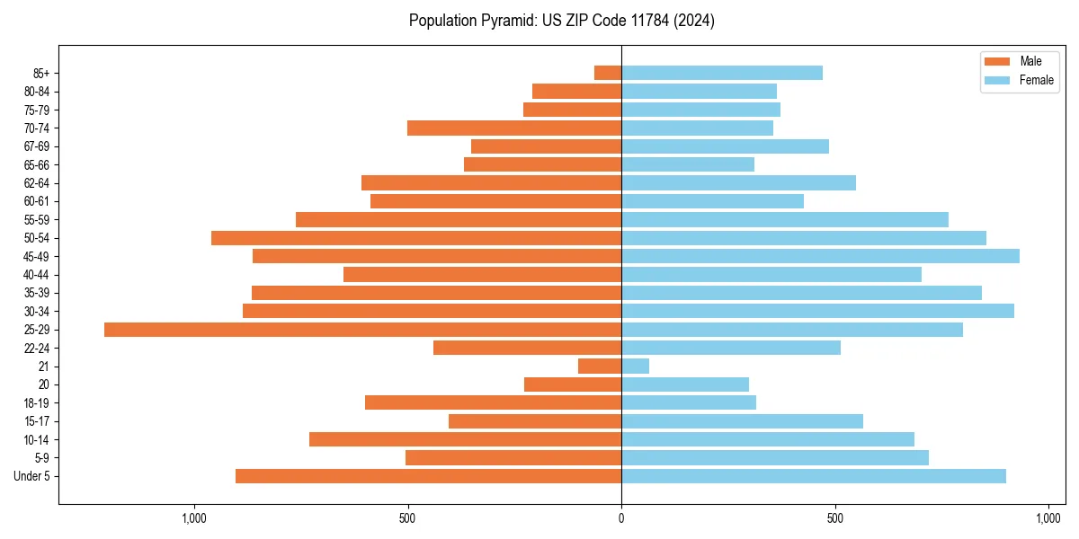 Population pyramid for 