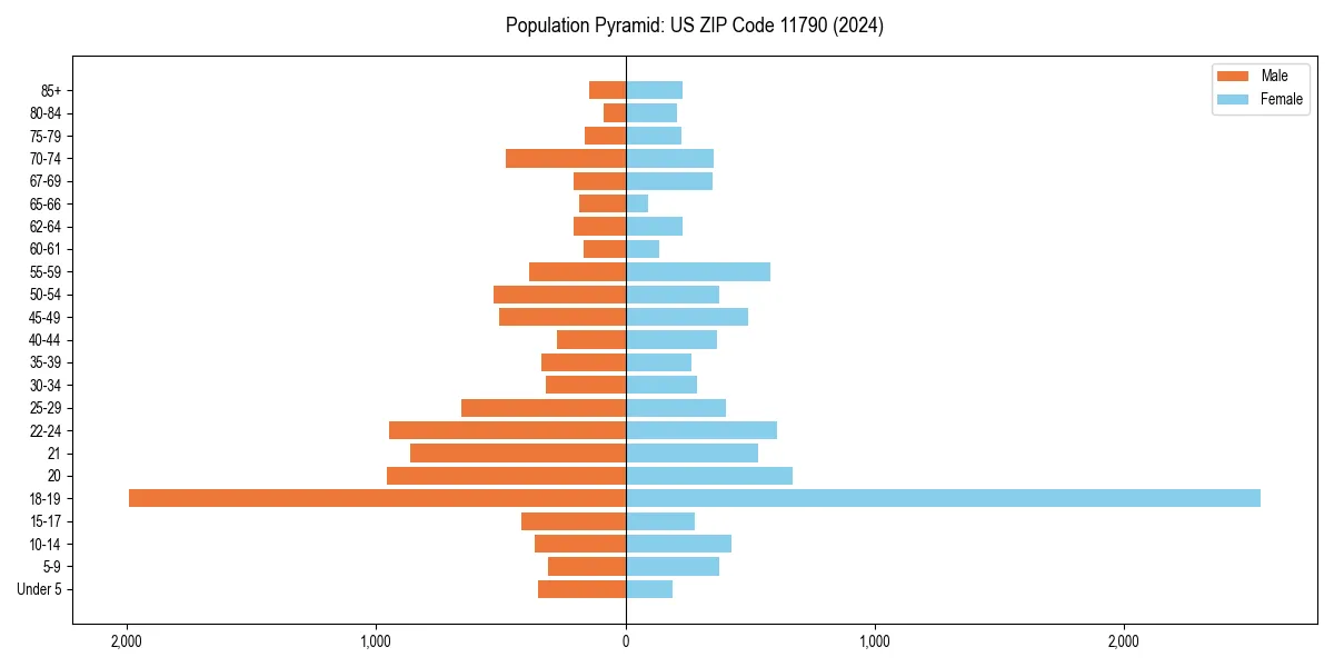 Population pyramid for 