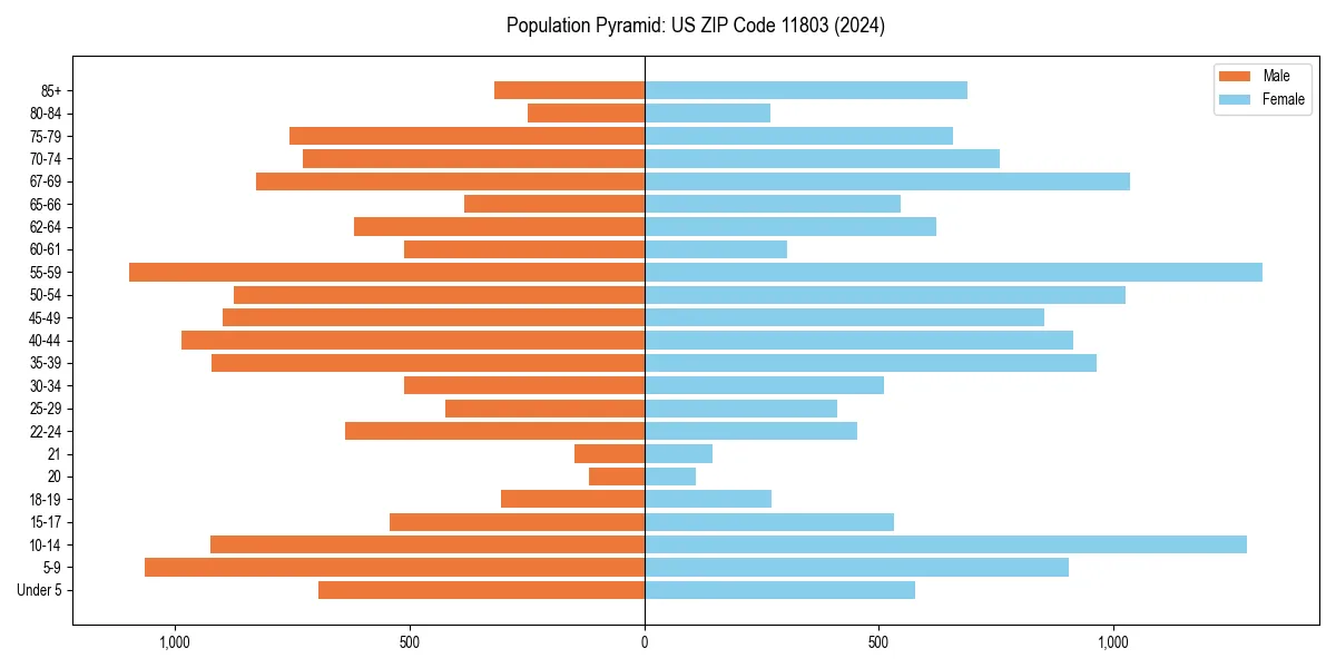 Population pyramid for 