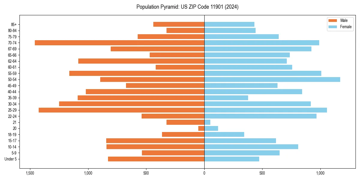 Population pyramid for 