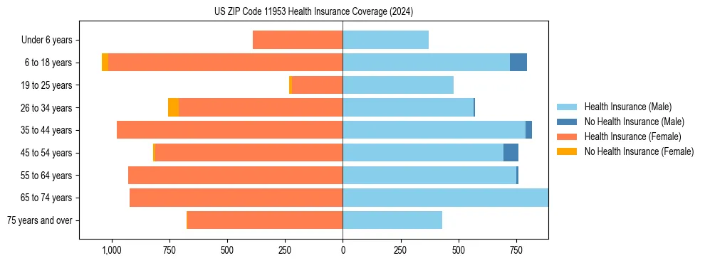 Health insurance pyramid for US ZIP Code 11953