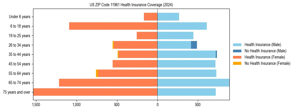 Health insurance pyramid for US ZIP Code 11961