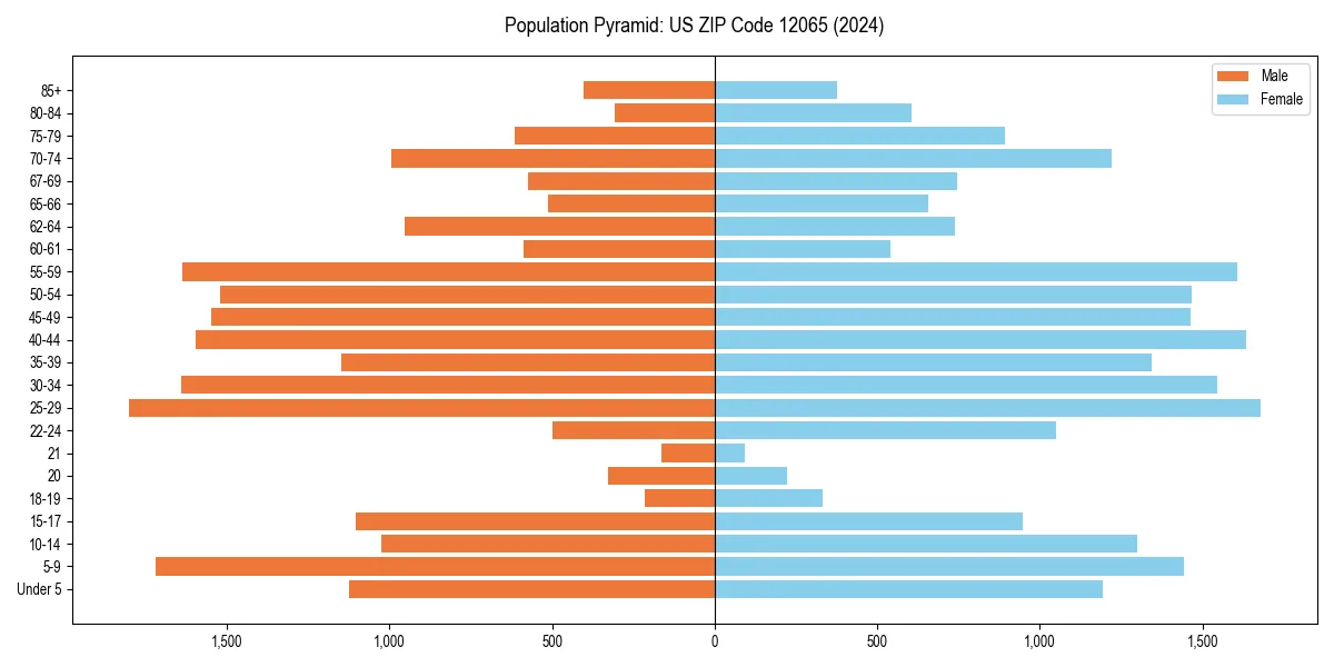 Population pyramid for 