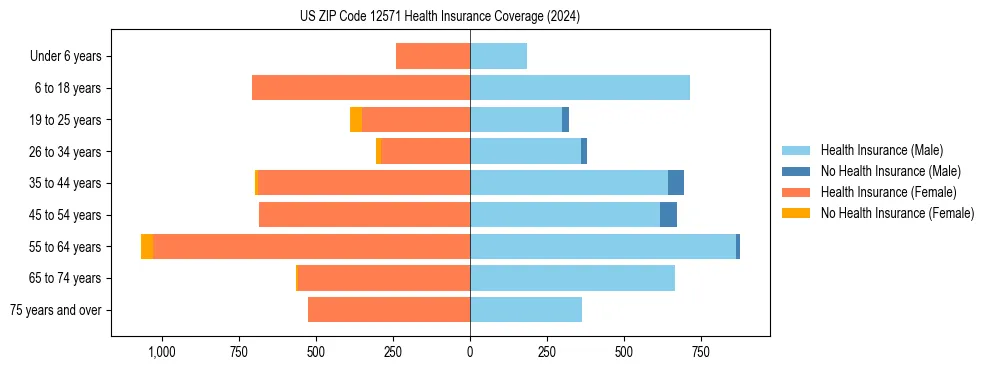 Health insurance pyramid for US ZIP Code 12571