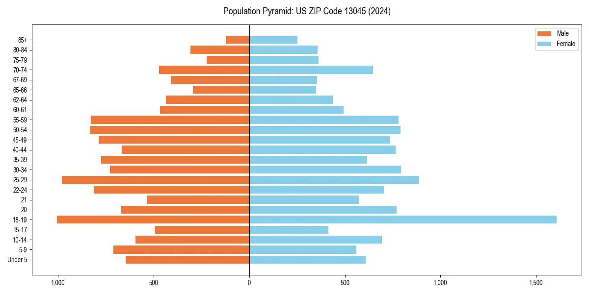 Population pyramid for 