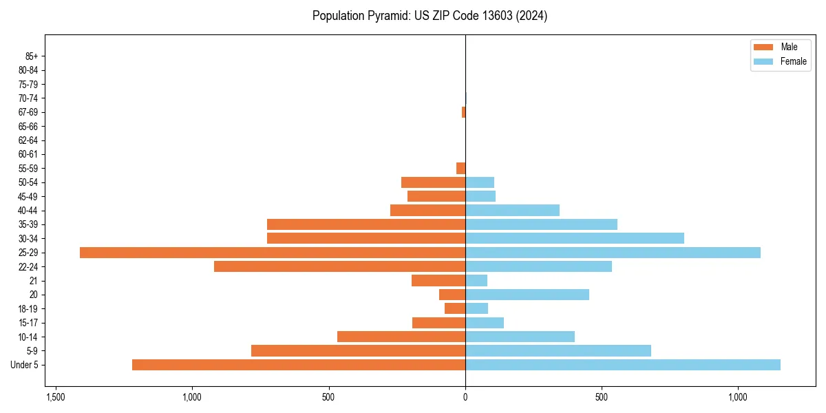 Population pyramid for 