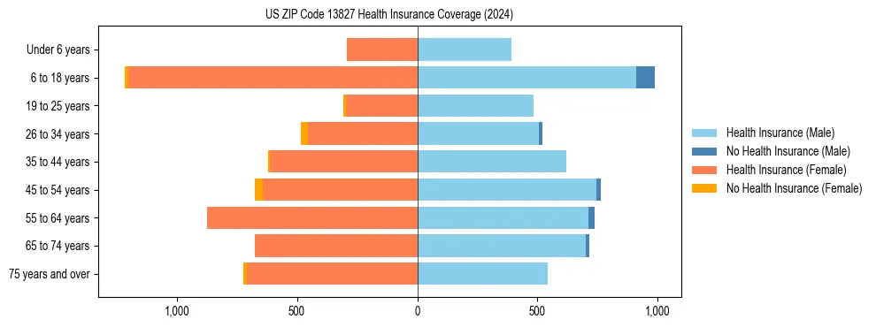 Health insurance pyramid for US ZIP Code 13827