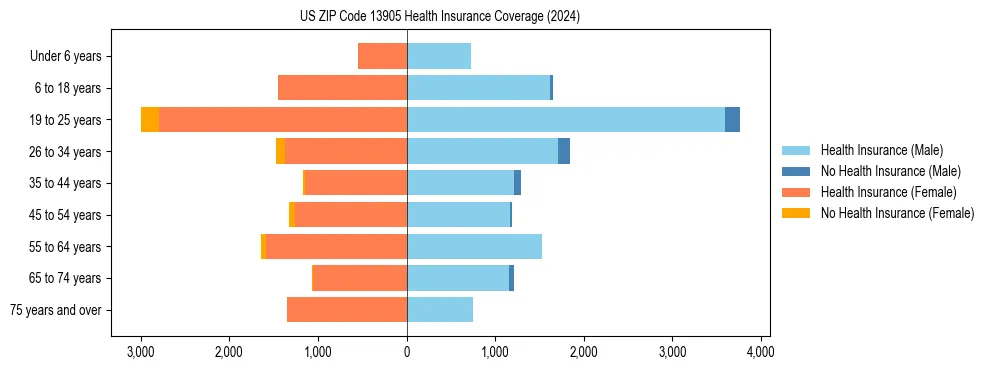 Health insurance pyramid for US ZIP Code 13905