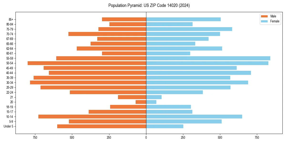 Population pyramid for 