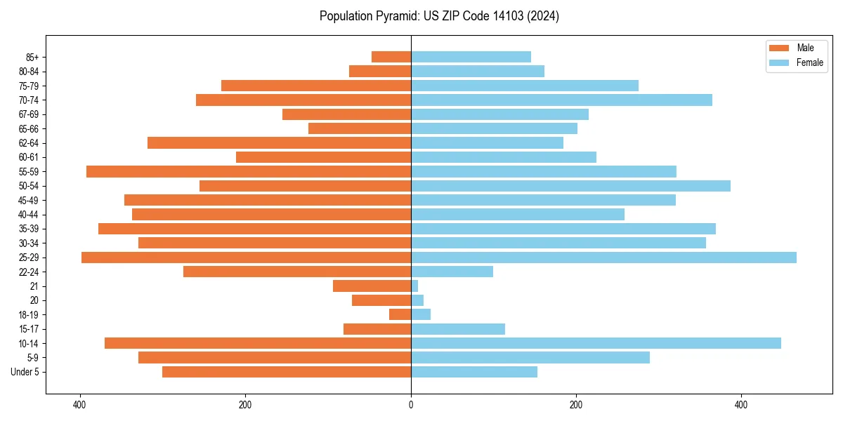 Population pyramid for 