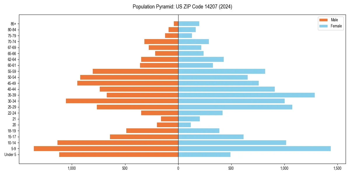 Population pyramid for 