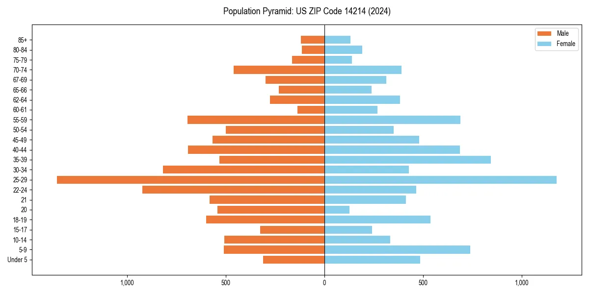 Population pyramid for 
