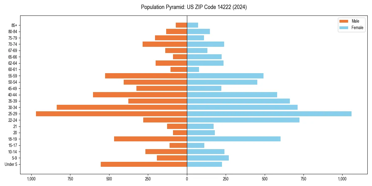 Population pyramid for 
