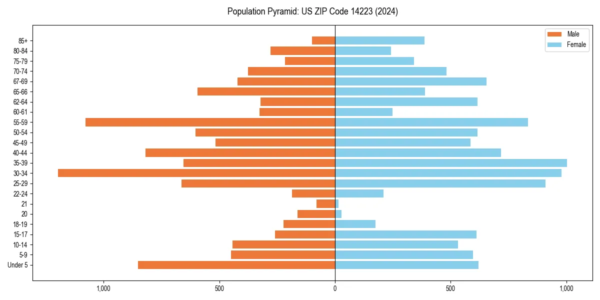 Population pyramid for 
