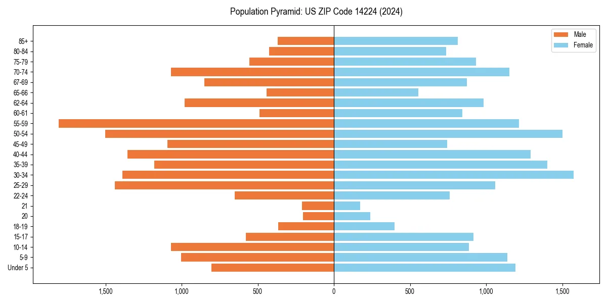 Population pyramid for 