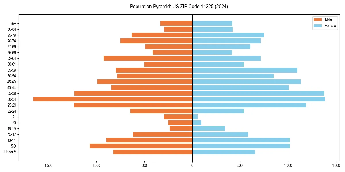 Population pyramid for 