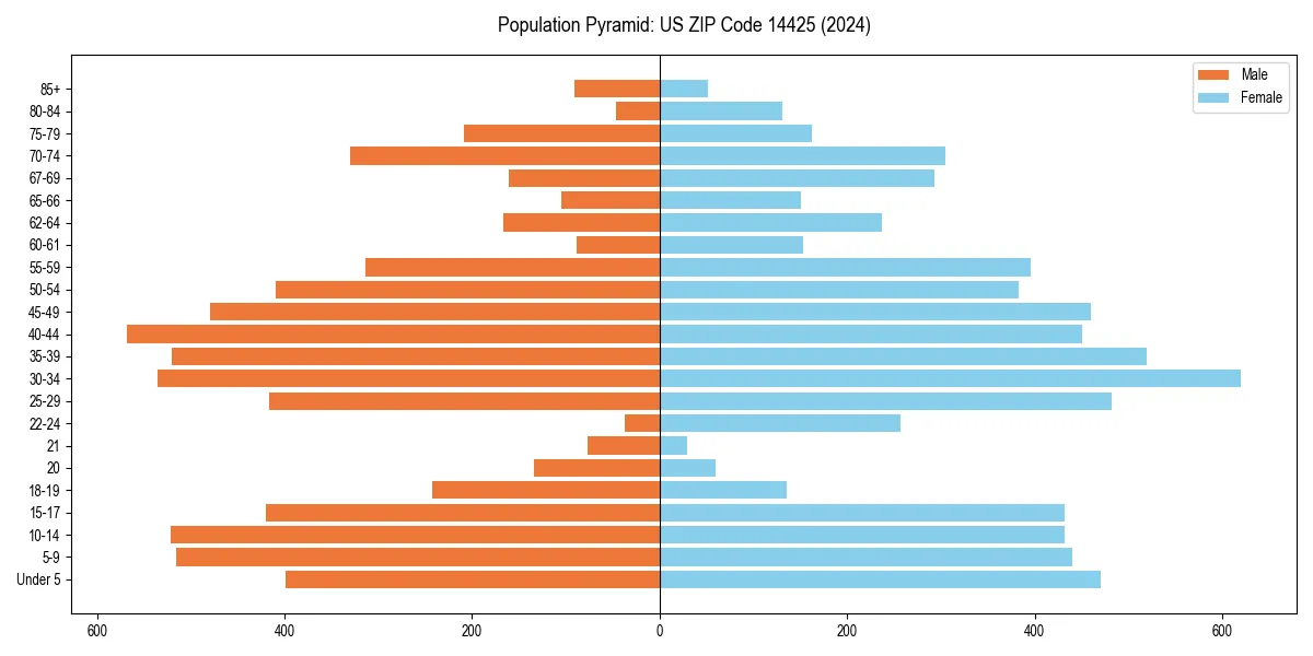 Population pyramid for 