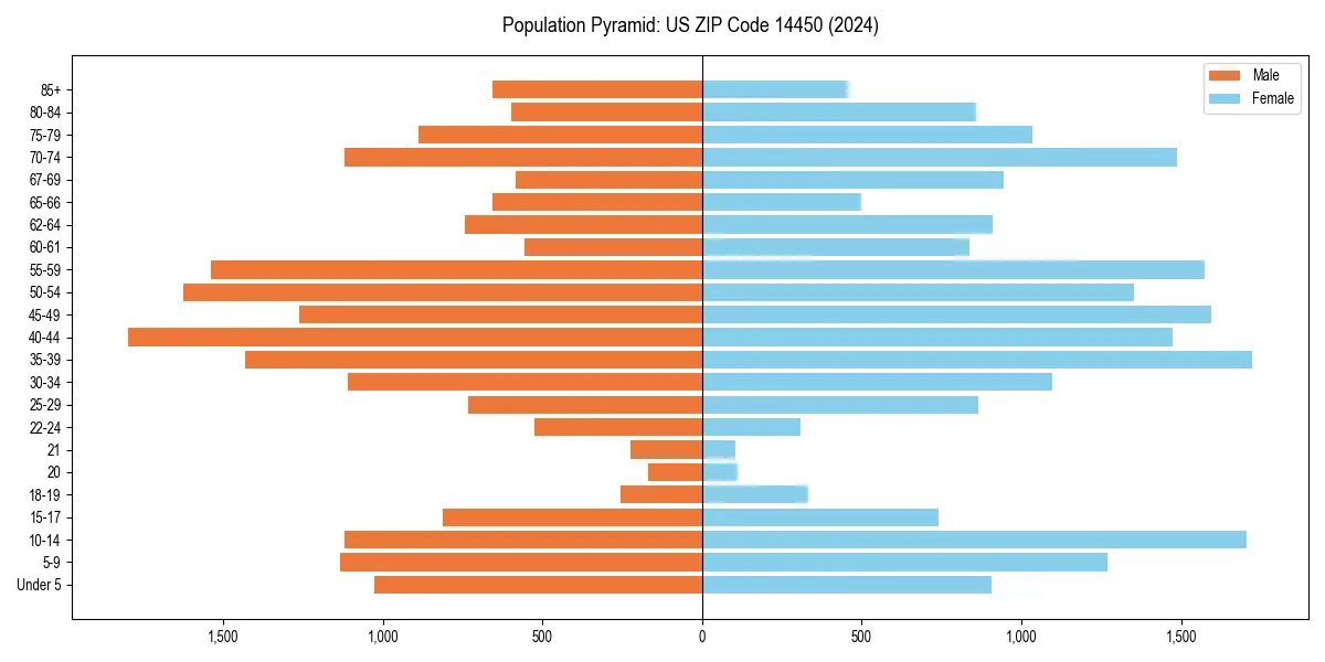Population pyramid for 