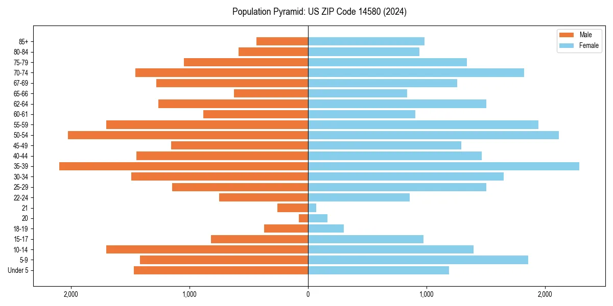 Population pyramid for 