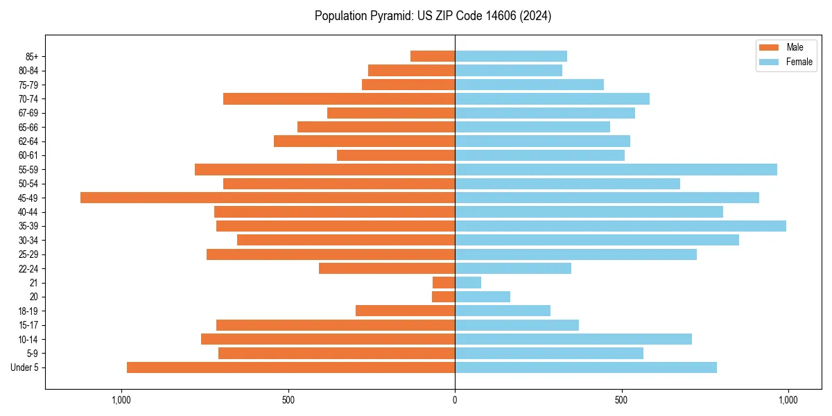 Population pyramid for 