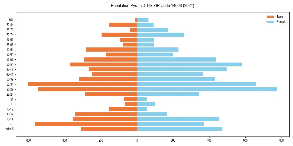 Population pyramid for 