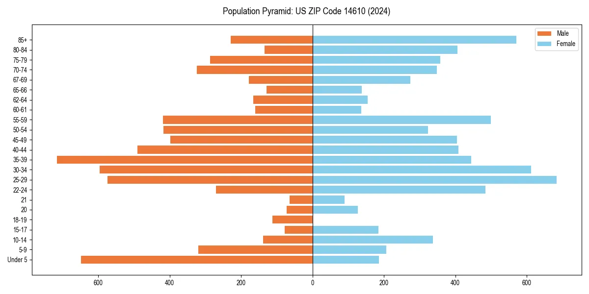 Population pyramid for 