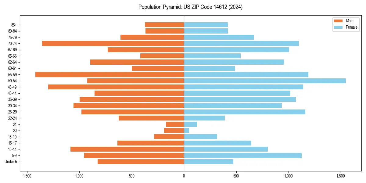 Population pyramid for 