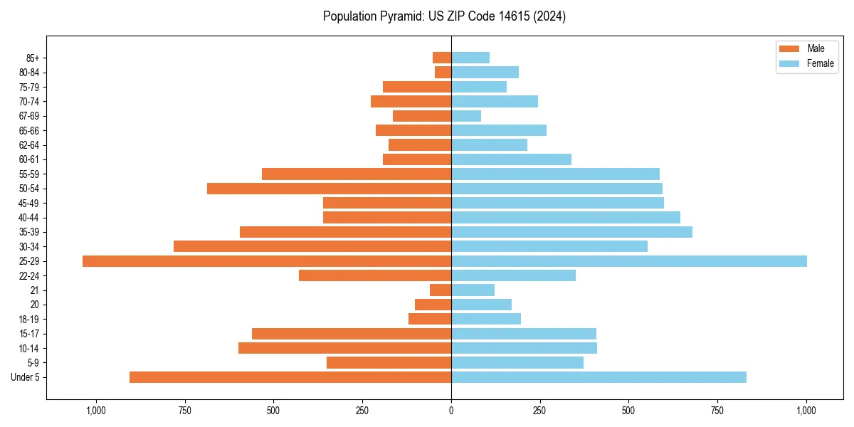 Population pyramid for 