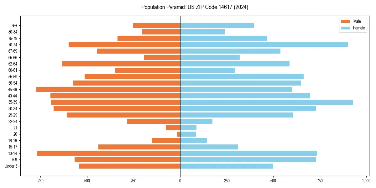 Population pyramid for 