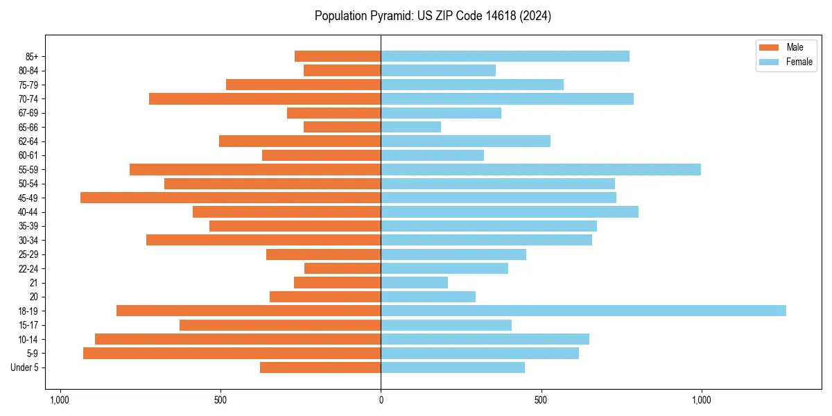 Population pyramid for 